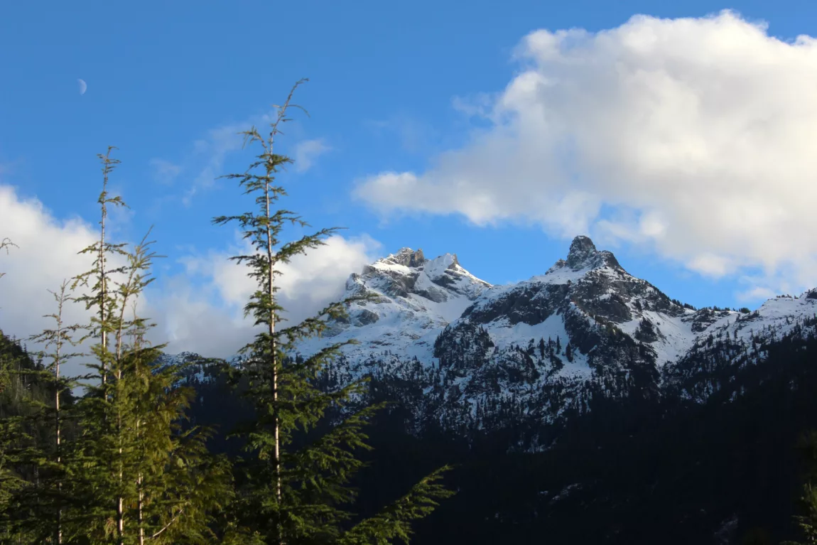 Fishing in the Ocean