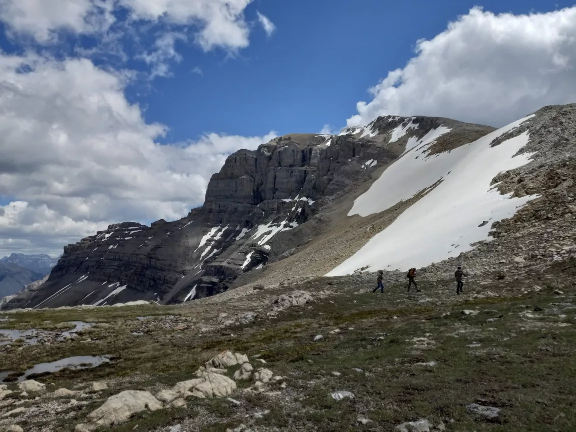 Fishing in the Ocean