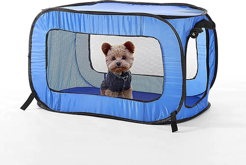 Beatrice Collapsible Pop Up Travel Pet Kennel