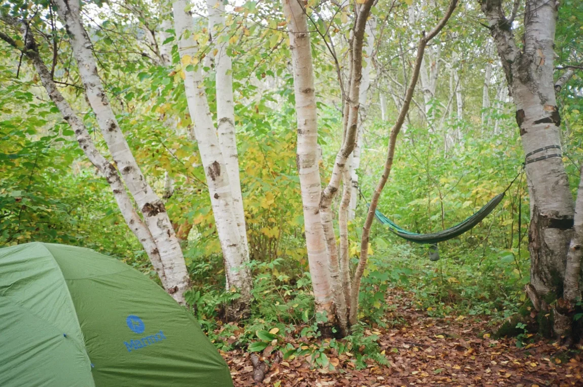 Campground Review: Pointe-du-Moulin Offers Spectacular Whalewatching Opportunities